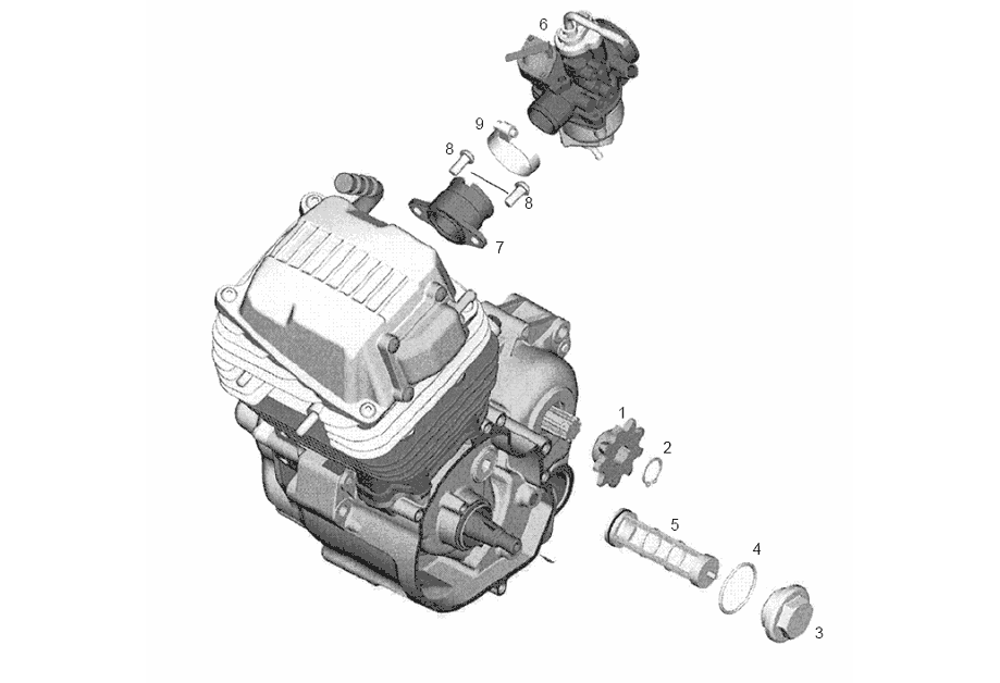 Exploded view Carburatore - Schermo filtro dell'olio