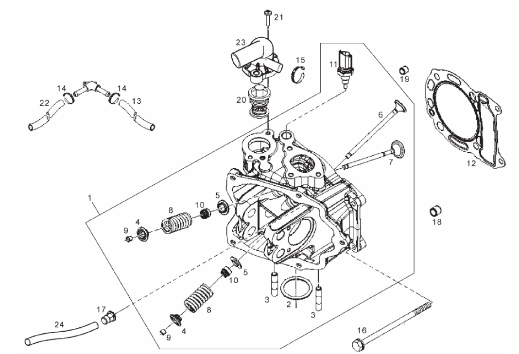 Exploded view Albero a camme - Cinghia - Valvole