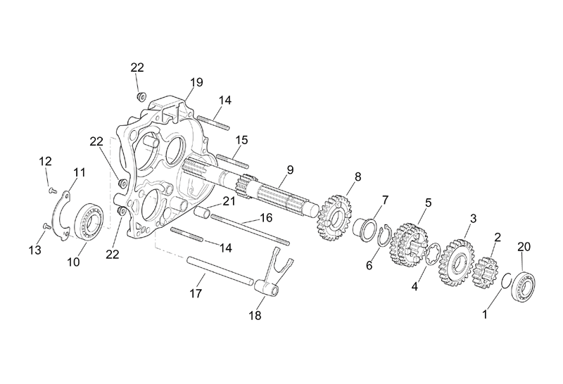 Exploded view Arbre transmission primaire