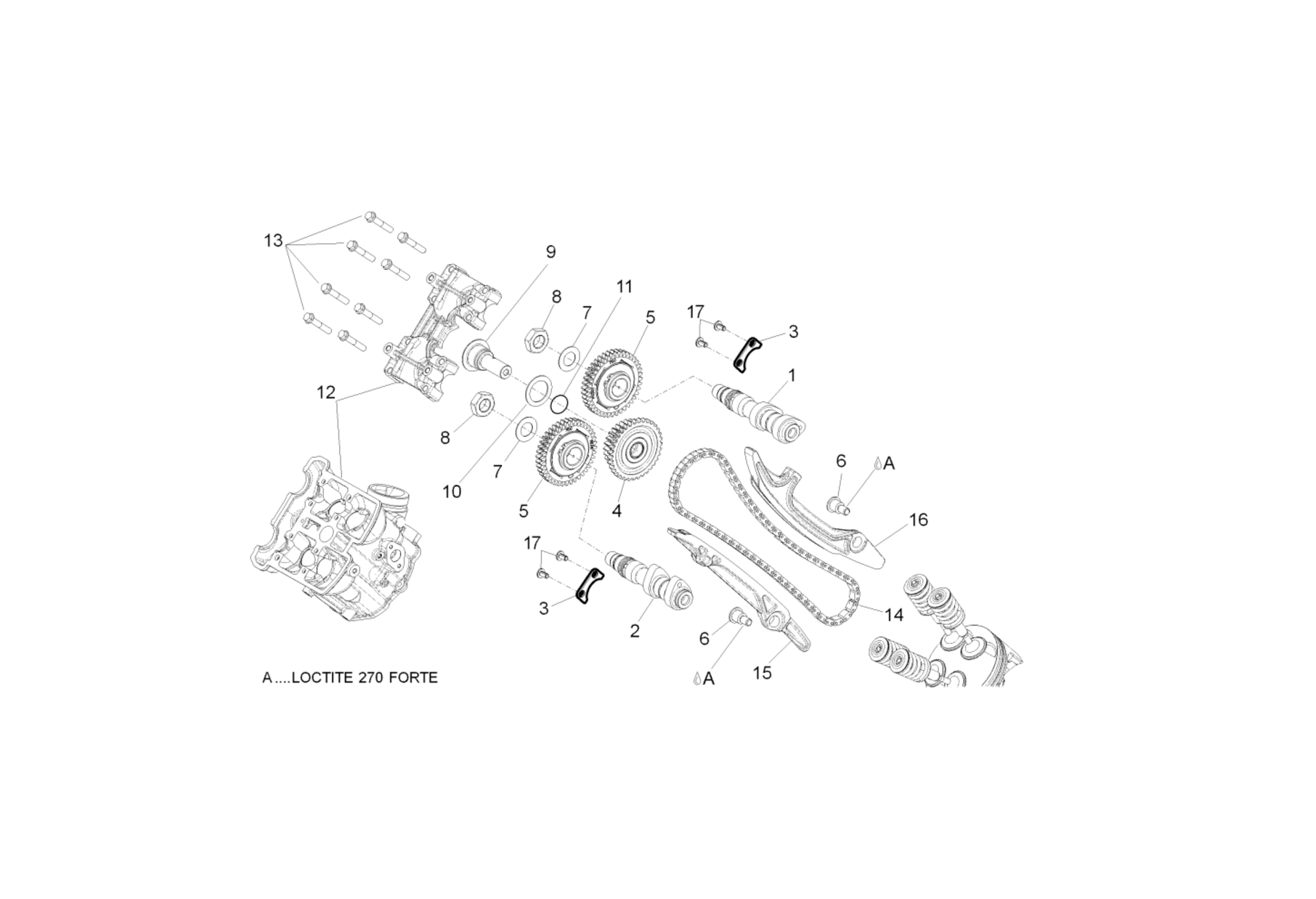 Exploded view Correa