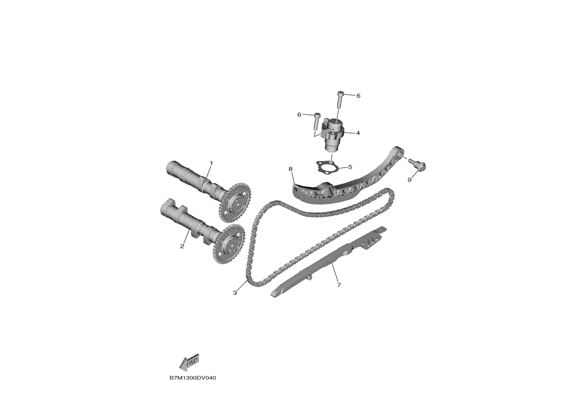 Exploded view Camshaft - Timing chain