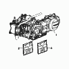Engine  - Seal kit