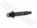 Ignition Coil Assy            