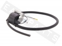 Ignition Coil Assy            