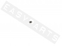 Kogel balhoofd onder YAMAHA Ø6.35mm 1/4 (per stuk)