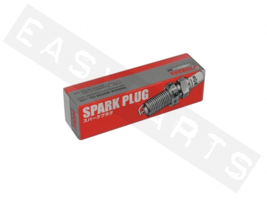 Plug, Spark (D8ea)            
