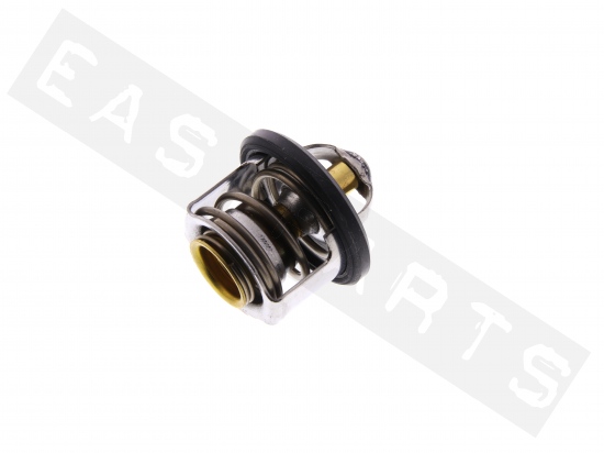 Peugeot Thermostat