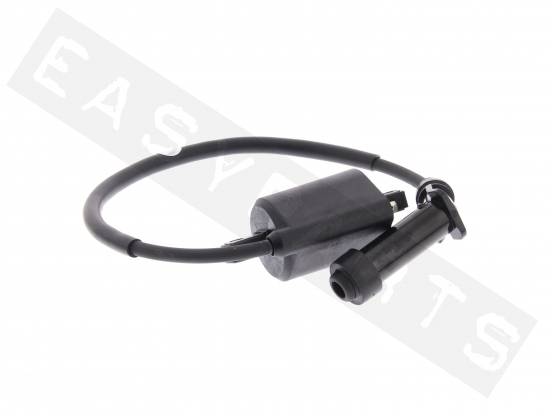 Sym Ignition Coil Assy
