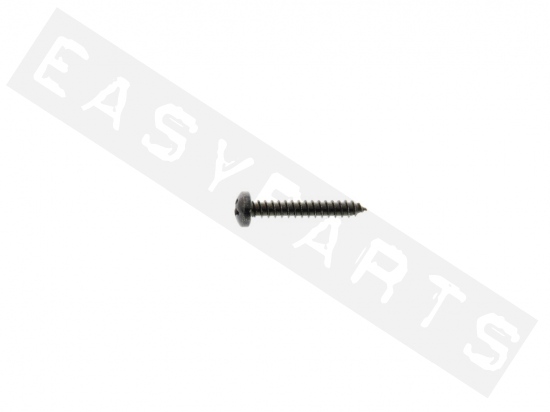 Piaggio Screw For Tail Lamp Glass (D3,5x22)