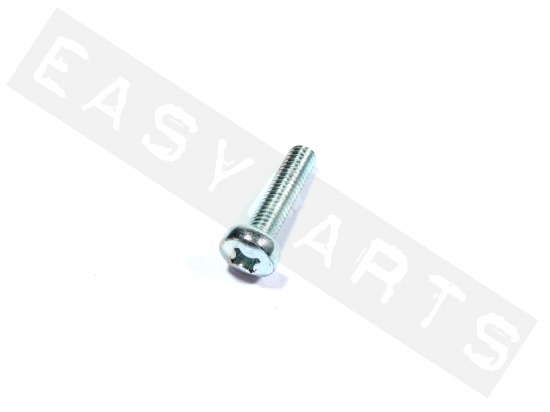 Piaggio Screw With Cylinderical Cup Head