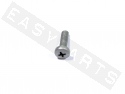Cross Slotted Screw With Cylinder Head