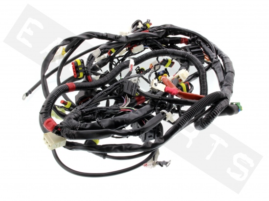 Piaggio Wiring Harness Of Frame