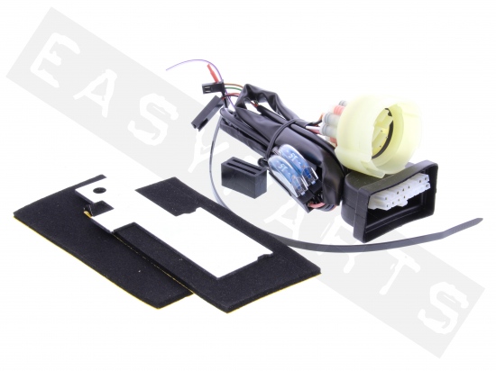 Wiring Harness Alarm PIAGGIO E-Power/ E-1/ E-Lux  Vespa GTS 2014->