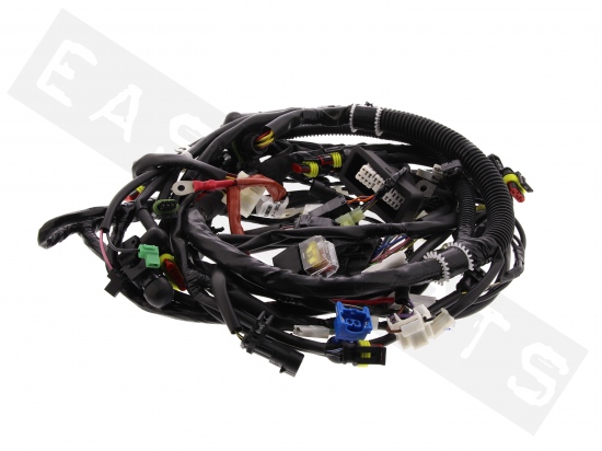 Piaggio Wiring Harness Of Chassis (Basic/Touring)