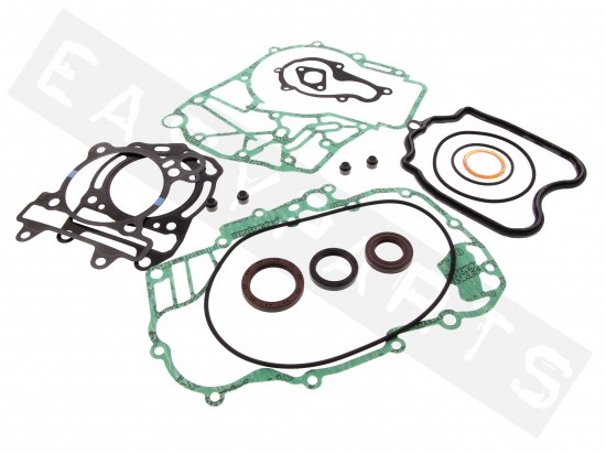 Piaggio Oil Seal And Gasket Set
