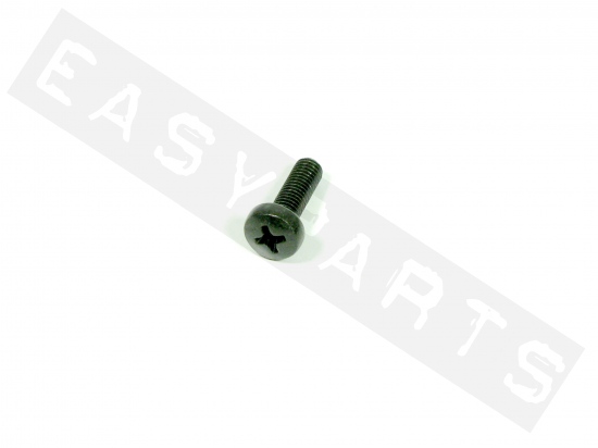 Piaggio Screw With Cross Slotted Cylin.Head