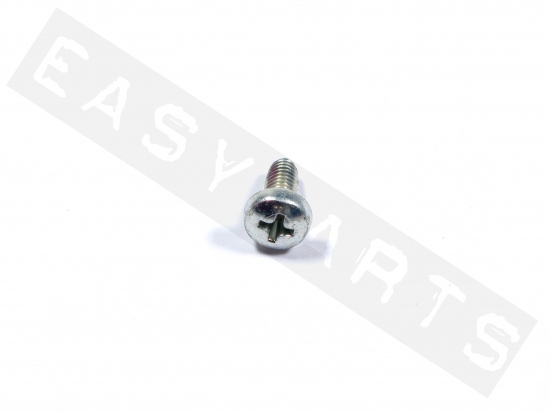 Piaggio Screw For Silencer Protection (M5x10)