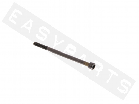 Piaggio Screw For Air Cleaner Case Lower-M6x100