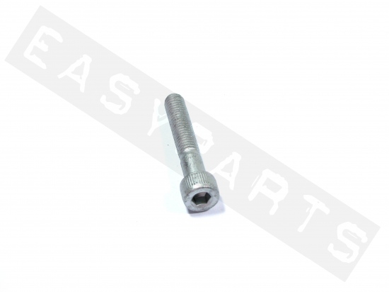 Piaggio Screw With Cylindrical Head