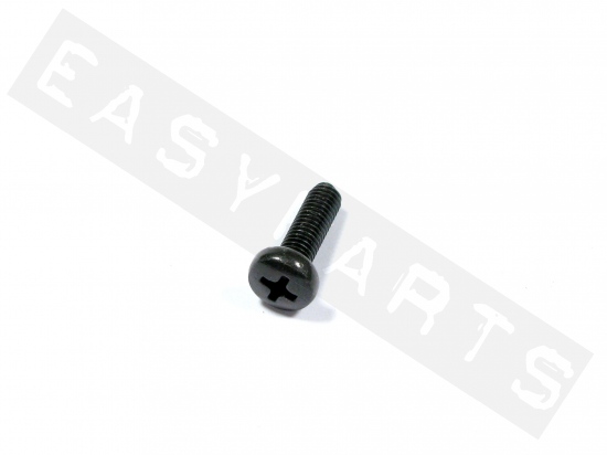 Piaggio Cross Slotted Screw With Cylinder Head