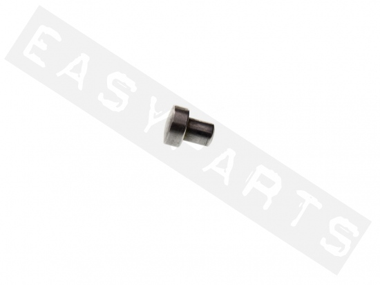 Piaggio Pin For Rear Pulley Shaft