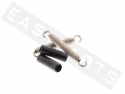Exhaust Spring Set POLINI Extra Long 79mm