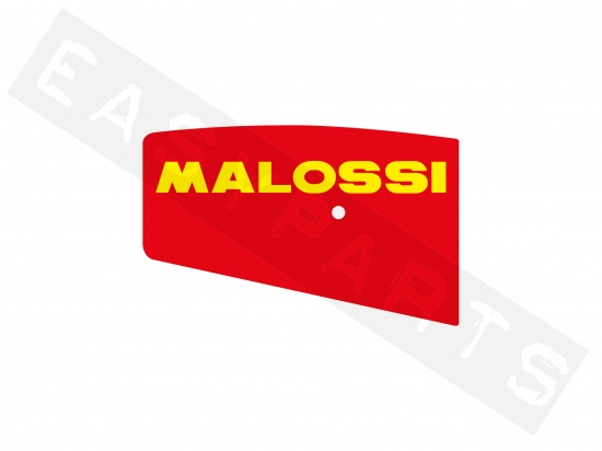 Luchtfilterelement MALOSSI Red Sponge X8R