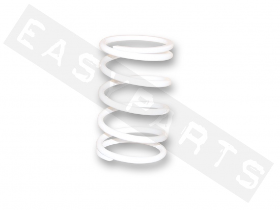 Variator Spring MALOSSI White (5.2) Downtown 300-350i 2012->
