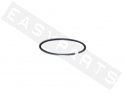 Piston Ring MALOSSI MHR Replica/TEAM Ø40,3x1 Minarelli AM6 (KDN5)