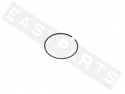 Piston Ring MALOSSI MHR Replica/TEAM Ø40x1 Min./Pia./Peu. (KDN5)