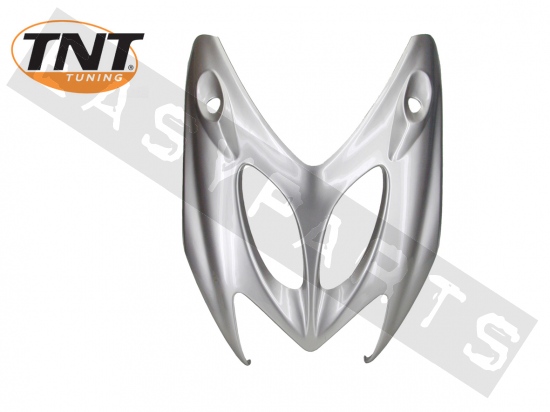 Front Shield TNT Metallic Gray Aerox/ Nitro
