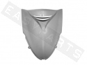 Front Shield TNT Grey SH 300i '06-'10