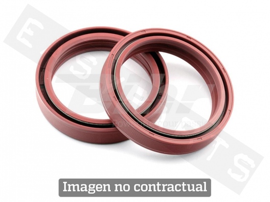 Fork Oil Seal Kit (?Int 43 X ?Ext 54 X 9)