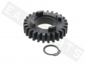 Gearbox Sprocket TOP PERF. Z.26 (6th gear) Secundary AM6 Serie2 2012-2020