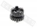 Gearbox Sprocket 3-4V TOP PERF. Z.19/22 Primary AM6 Serie1 '96-'11