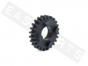 Gearbox Sprocket 5V TOP PERF. Z.24 Primary AM6 Serie1 '96-'11