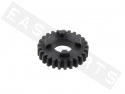 Gearbox Sprocket 6V TOP PERF. Z.25 Primary AM6 Serie1 '96-'11