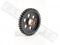 Gearbox Sprocket 1V TOP PERF. Z.36 Secundary AM6 Serie1 '96-'11