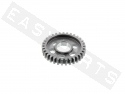 Gearbox Sprocket 2V TOP PERF. Z.33 Secundary AM6 Serie1 '96-'11