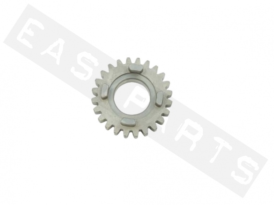 Gearbox sprocket 5V primary TOP PERF. z.24 AM6 Serie2 2012-2020