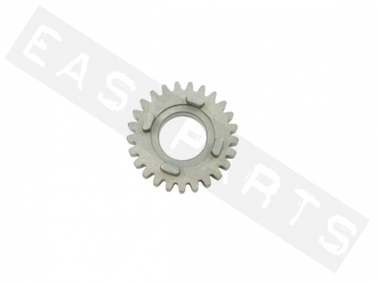 Gearbox sprocket 6V primary TOP PERF. z.25 AM6 Serie2 2012-2020