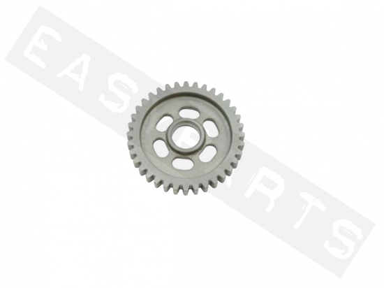 Gearbox sprocket 1V secundary TOP PERF. z.36 AM6 Serie2 2012-2020