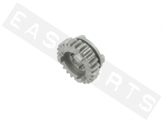 Gearbox sprocket 6V secundary TOP PERF. z.24 AM6 Serie2 2012-2020