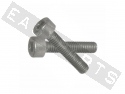Socket Head Bolt M5x10 Stainless Steel (25 pieces)