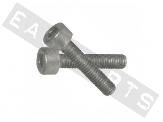 Socket head bolt M5x10 (0.80) stainless steel (25 pcs)