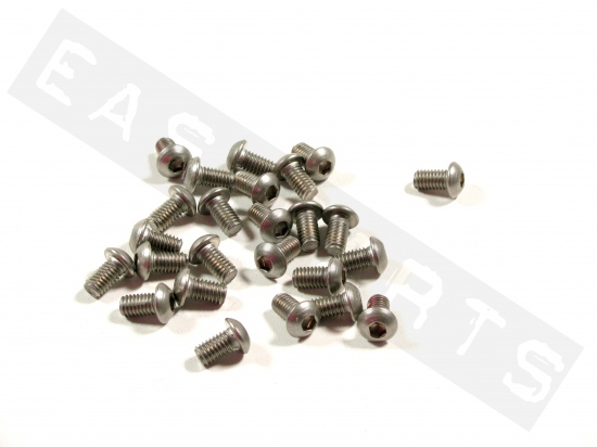 Button head bolt M6x10 (1.00) stainless steel (25 pcs)