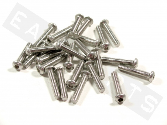 Button head bolt M6x30 (1.00) stainless steel (25 pcs)