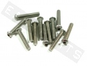 Button Head Bolt M6x35 Stainless Steel (12 pieces)
