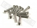Button Head Bolt M6x40 Stainless Steel (12 pieces)