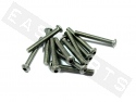 Button Head Bolt M6x45 Stainless Steel (12 pieces)
